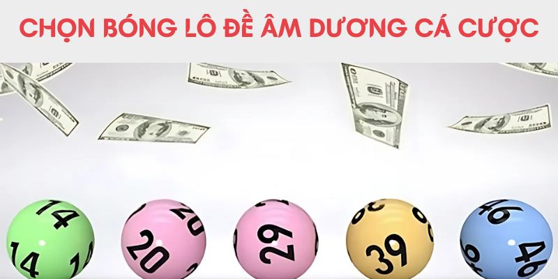 Chọn bóng lô đề âm dương cá cược