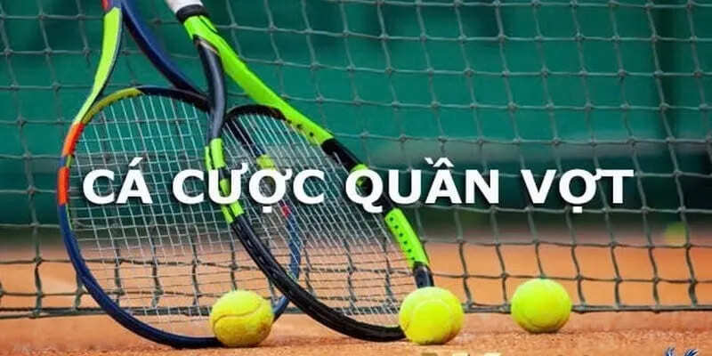 Hướng dẫn cách soi kèo tennis 23Win luôn trúng