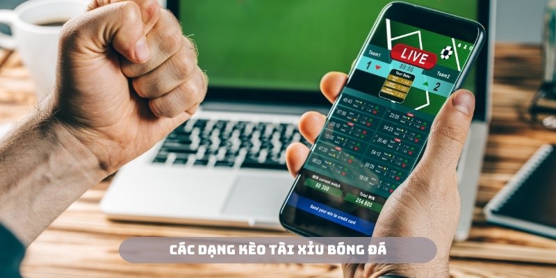 Đa dạng các thể loại tài xỉu trong bóng đá để hội viên trải nghiệm