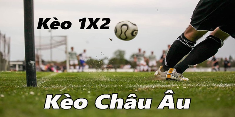 Tìm hiểu khái niệm kèo 1x2 và cách đọc chuẩn