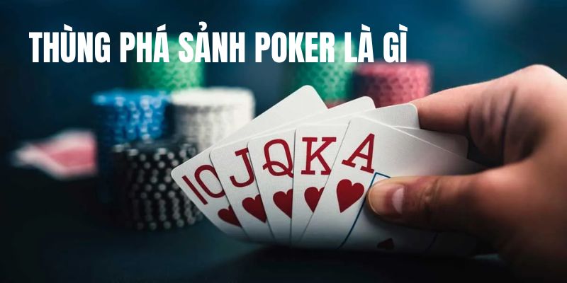 Khái niệm thùng phá sảnh Poker cho tân binh