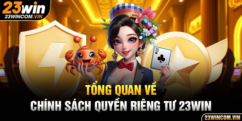 Tổng quan về chính sách quyền riêng tư